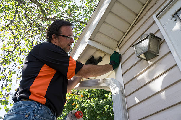 Professional Siding Installation in Ford Heights, IL